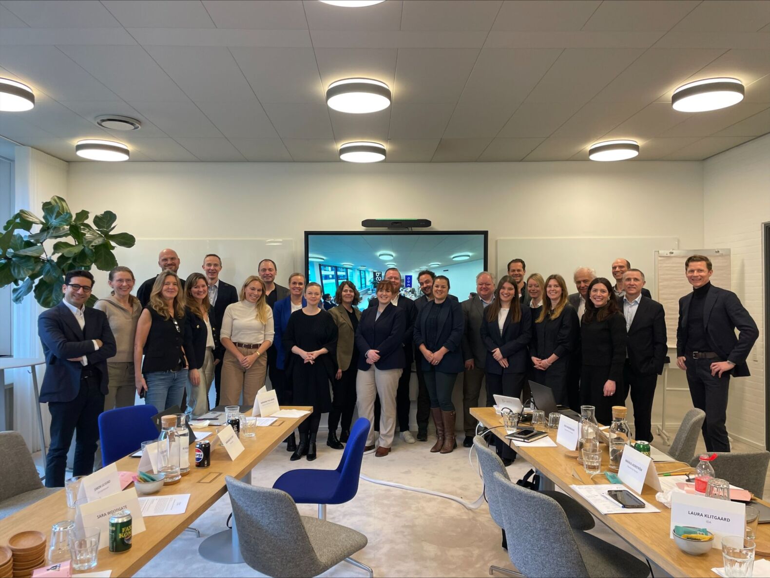 Roundtable on the upcoming Danish Presidency of the EU