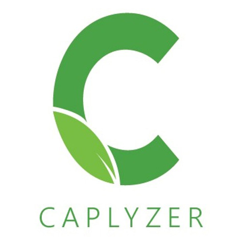Caplyzer